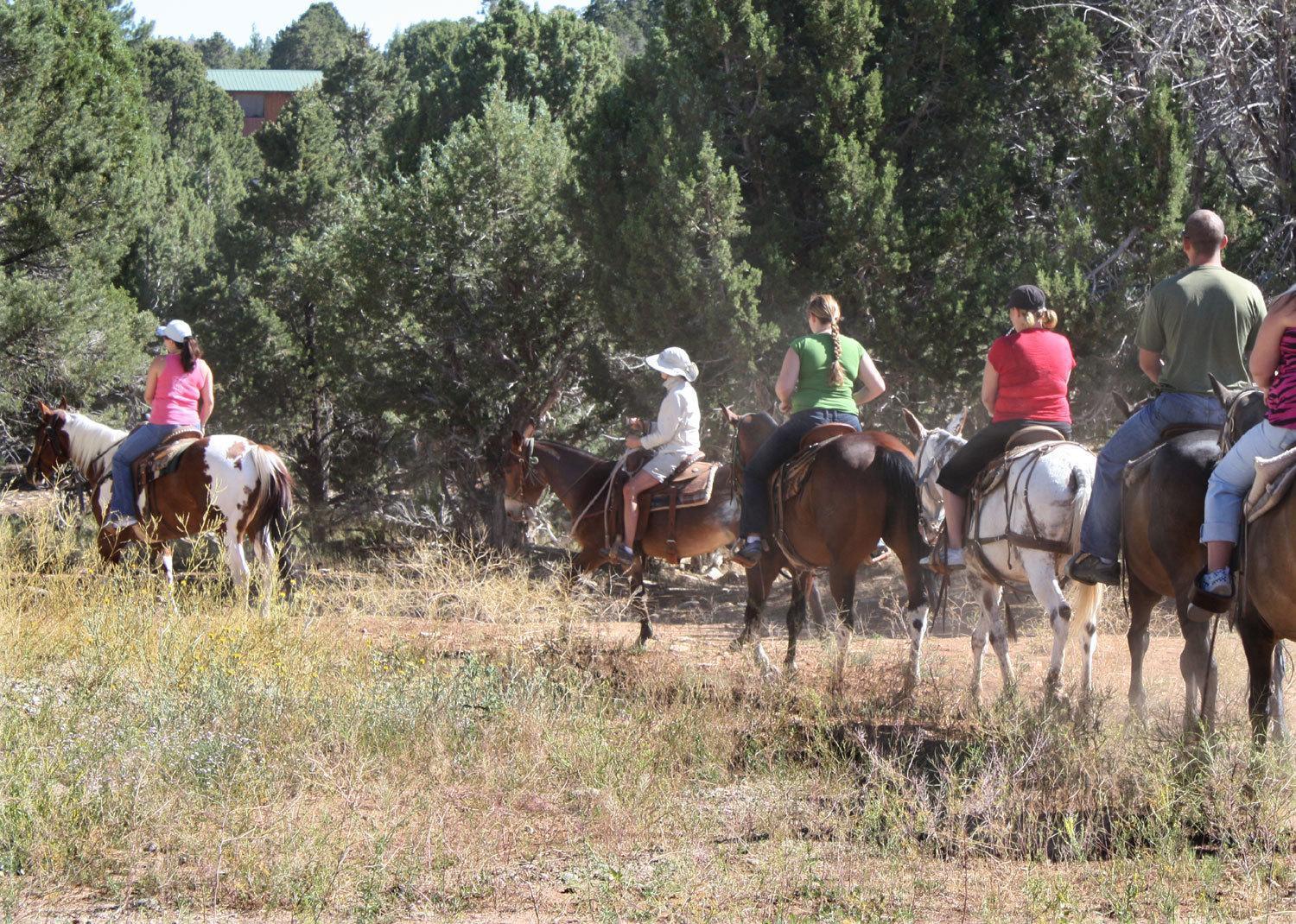 Zion Ponderosa Ranch Resort Springdale Exterior photo